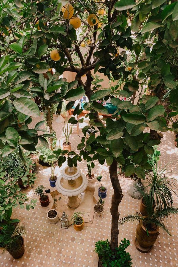 Riad Maison 24 Marakéš Exteriér fotografie